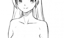 乳房动漫,探索女性美的独特视角